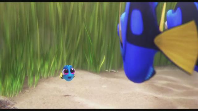 free for apple instal Finding Dory