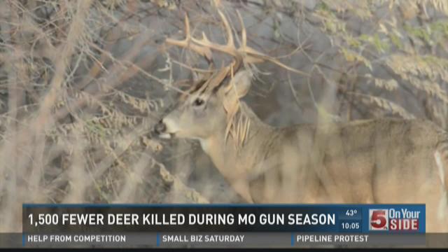 1500 Fewer Deer Killed In Mo During Gun Season