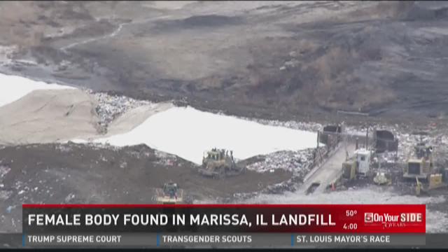 article preview image